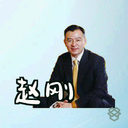 赵刚